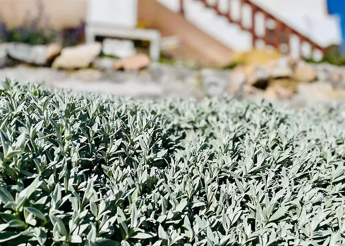 Rotmeerhaus Feldberg (Baden-Wurttemberg)
