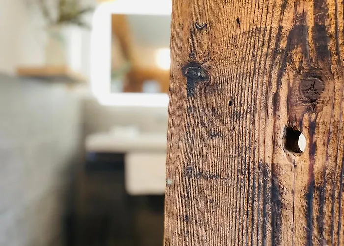 Hotell Rotmeerhaus Feldberg (Baden-Wurttemberg)